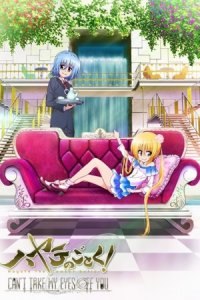 Assistir Hayate no Gotoku! Can’t Take My Eyes Off You (2012) – Todos os Episódios Online em HD