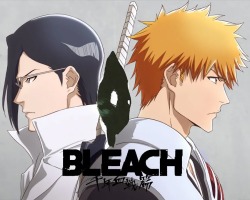 Assistir Bleach: Sennen Kessen-hen – Soukoku-tan (Dublado) – Episódio 12