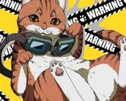 Assistir Nyaight of the Living Cat – Episódio 09