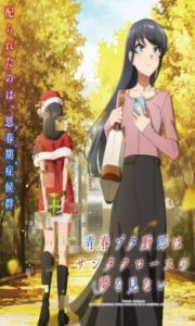 Assistir Seishun Buta Yarou Series 2 – Todos os Episódios Online em HD