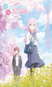 Assistir Kao ni Denai Kashiwada-san – Todos os Episódios