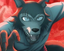 Assistir Beastars Final Season Part 2 (Dublado) – Episódio 12